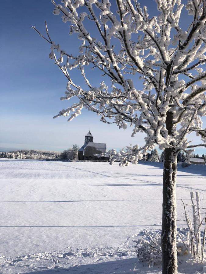 Ferienhaus Tooren Altenberg  Esterno foto